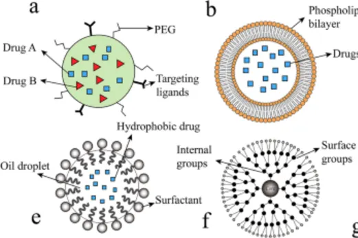 Cover image for Artificial Intelligence–Driven Translational Nanomedicine in Oncology: Multistage Targeting Strategies, Clinical Advances, and Future Directions for Liver, Breast, Kidney, and Brain Cancers